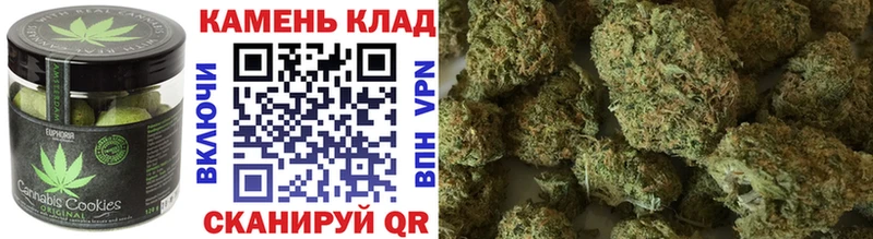 Купить закладки  Искитим  Cannafood марихуана 