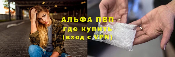амф Коряжма